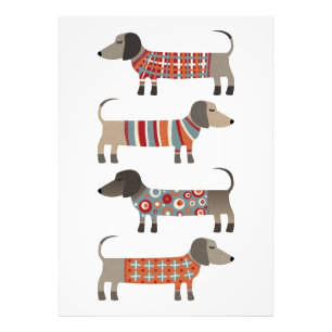 Dachshund Sause Dog Foto Afdruk