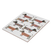 Dachshund Sause Dog Tegeltje (Zijkant)