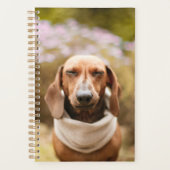 Dachshund schattig planner (Voorkant)