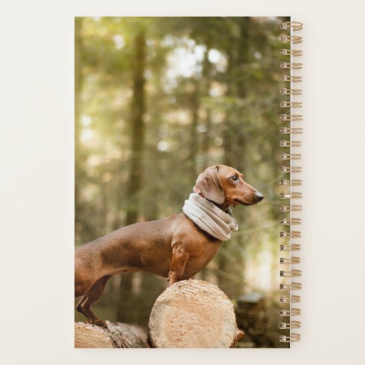 Dachshund schattig planner (Achterkant)
