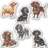 Dachshund Schattige Hond Liefhebber Sticker (Voorkant)