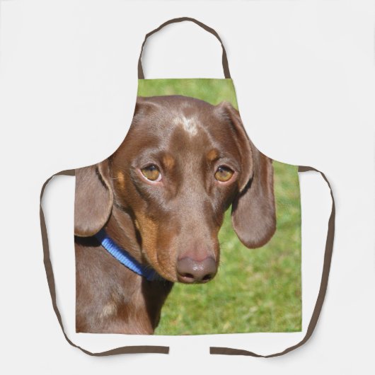 Dachshund Schort (Voorkant)