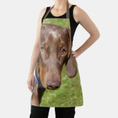 Dachshund Schort (Insitu)