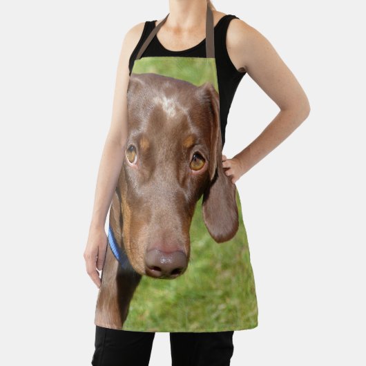 Dachshund Schort (Insitu)