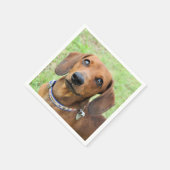 Dachshund Servet (Hoek)