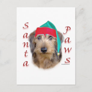Dachshund Sinterklaas Pootjes Feestdagenkaart