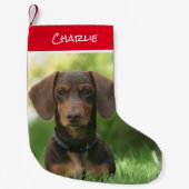 Dachshund Sitting in Grass Kleine Kerstsok (Voorkant)