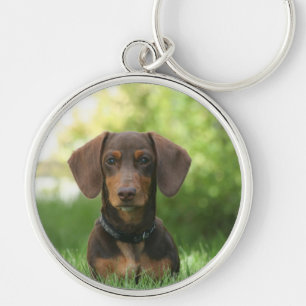 Dachshund Sitting in Grass Sleutelhanger