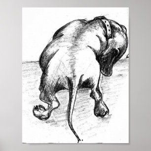 Dachshund sketch poster