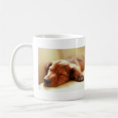 Dachshund slapen koffiemok (Links)
