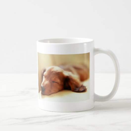 Dachshund slapen koffiemok (Rechts)