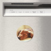 Dachshund slapen magneet (Insitu (Vaatwasser))