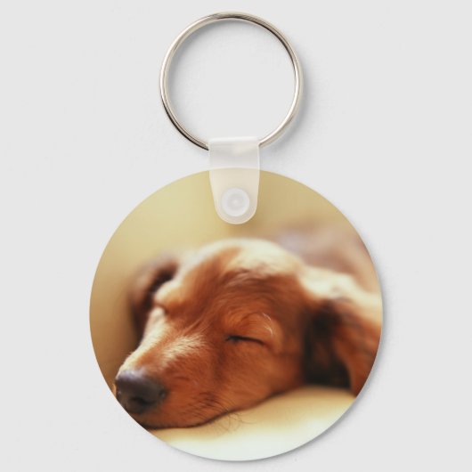 Dachshund slapen sleutelhanger (Voorkant)