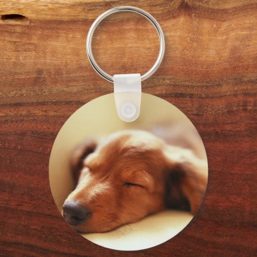 Dachshund slapen sleutelhanger (Voorkant)