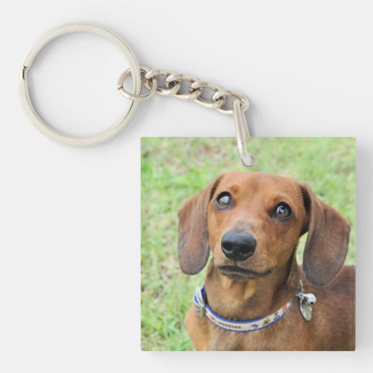 Dachshund Sleutelhanger (voorkant)