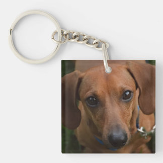Dachshund-Sleutelhanger Sleutelhanger