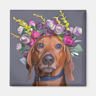 Dachshund sluit Dachshund af Magneet