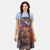 Dachshund sluit Dachshund af Schort (Gedragen)