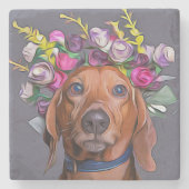 Dachshund sluit Dachshund af Stenen Onderzetter (Voorkant)