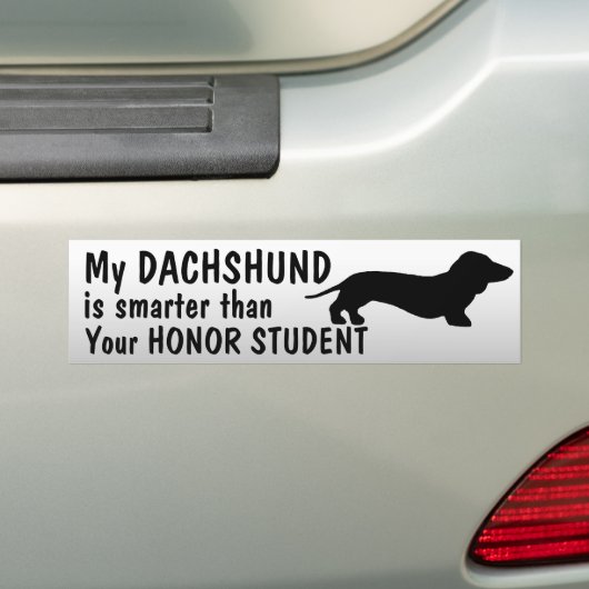 Dachshund - Smarter dan eerling student - grappig Bumpersticker (Op auto)