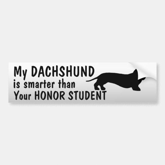 Dachshund - Smarter dan eerling student - grappig Bumpersticker (Voorkant)