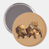 Dachshund Smoothies Magnet (Voorkant / Achterkant)