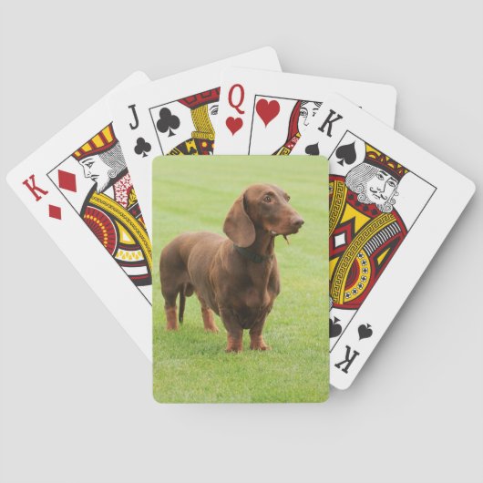 Dachshund Speelkaarten (Achterkant)