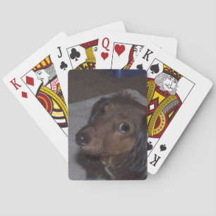 Dachshund-speelkaarten Pokerkaarten