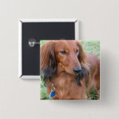 Dachshund Square Pin Vierkante Button 5,1 Cm (Voorkant /achterkant)