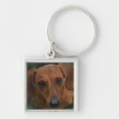 Dachshund Square Sleutelhanger (Voorkant)