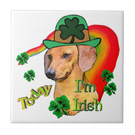 Dachshund St Patricks Tegeltje