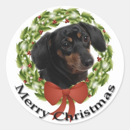 Dachshund Sticker (Voorkant)