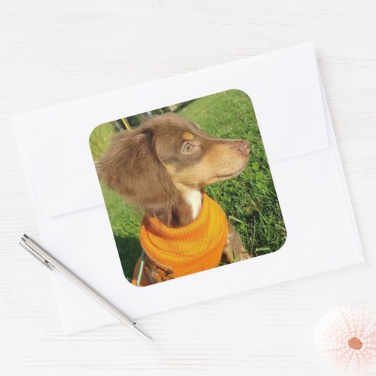 Dachshund Stickers (Envelop)