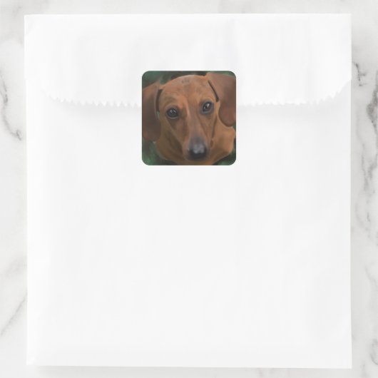 Dachshund stickers (Tas)