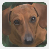 Dachshund stickers (Voorkant)