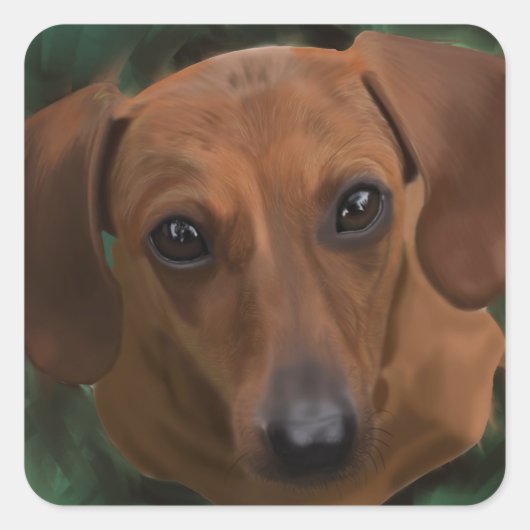 Dachshund stickers (Voorkant)
