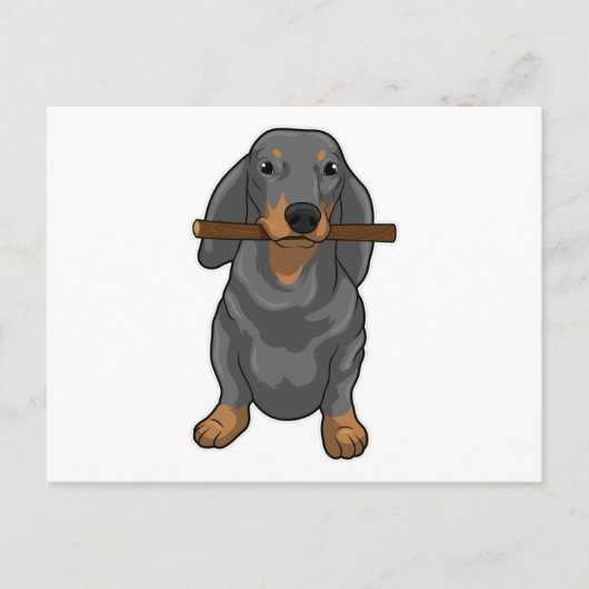 Dachshund Stok Briefkaart (Voorkant)