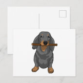 Dachshund Stokje Briefkaart (Voorkant / Achterkant)