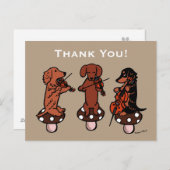 Dachshund String Trio Muzikanten Bedankt Briefkaart (Voorkant / Achterkant)