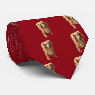 Dachshund Stropdas