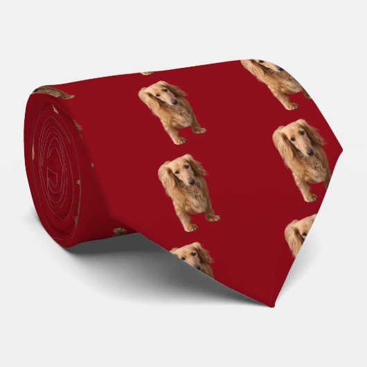 Dachshund Stropdas (Opgerold)