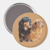 Dachshund Sweeties Magnet (Voorkant / Achterkant)