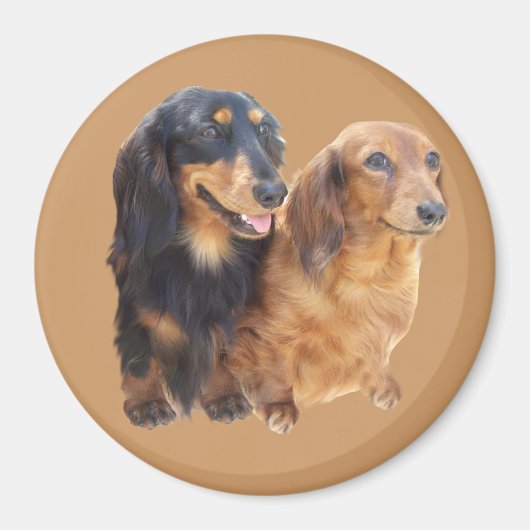 Dachshund Sweeties Magnet (Voorkant)