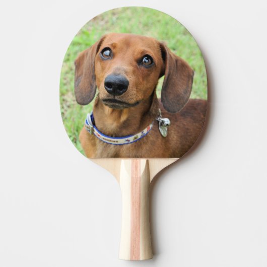 Dachshund Tafeltennisbatje (Voorkant)