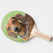 Dachshund Tafeltennisbatje (Zijkant)