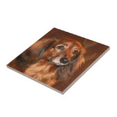 Dachshund Tegeltje (Zijkant)