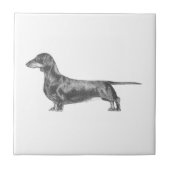 Dachshund Tegeltje (Voorkant)