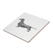 Dachshund Tegeltje (Zijkant)