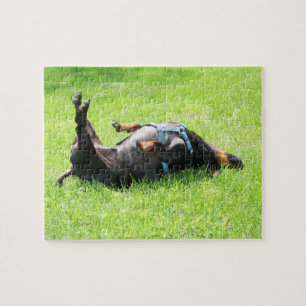 Dachshund - TGIF Legpuzzel