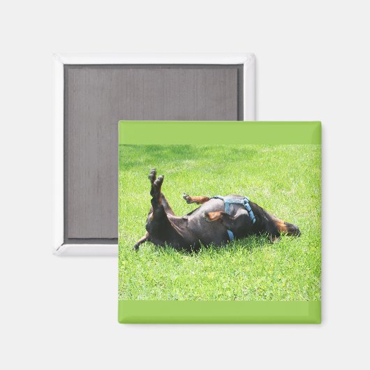 Dachshund - TGIF Magneet (Voorkant / Achterkant)